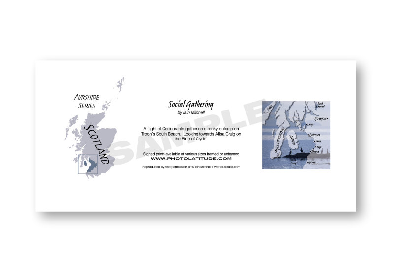 Back of card